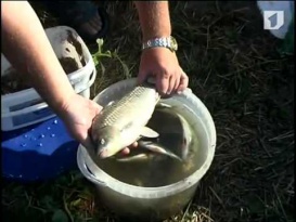 BIkyB50sbNA